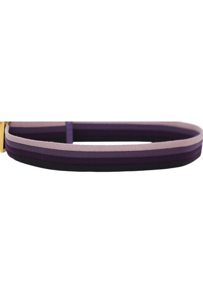 Cintura Gucci in tessuto - viola