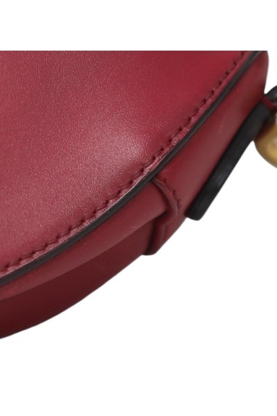 Dior Saddle