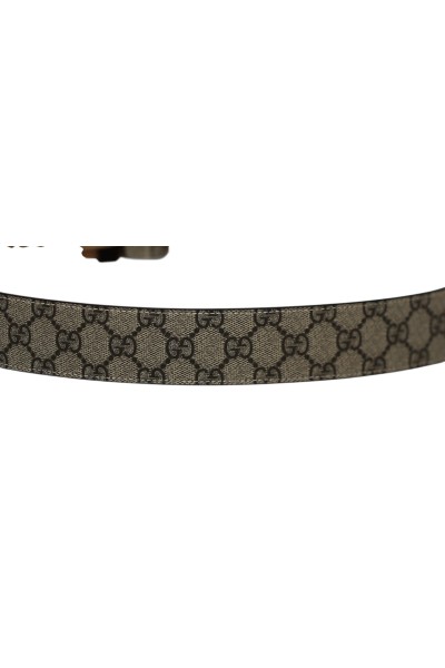 Cintura Gucci GG Supreme- 100