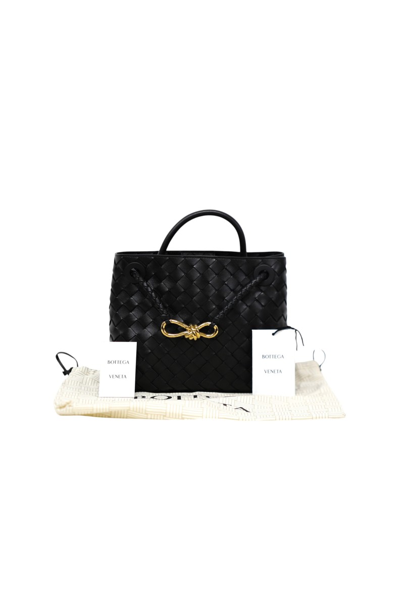 Bottega Veneta Andiamo piccola